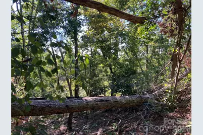 00 Tyler Terrace #Lot 11, Rutherfordton, NC 28139 - Photo 9