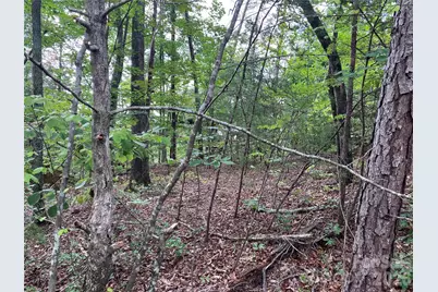 00 Tyler Terrace #Lot 11, Rutherfordton, NC 28139 - Photo 3