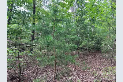 00 Tyler Terrace #Lot 11, Rutherfordton, NC 28139 - Photo 7