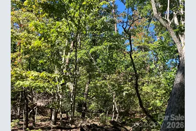 00 Tyler Terrace #Lot 11, Rutherfordton, NC 28139 - Photo 13