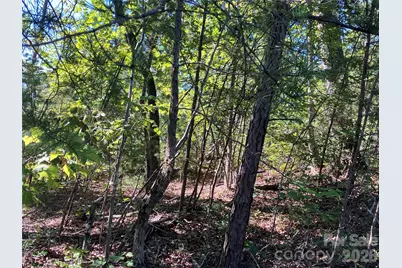 00 Tyler Terrace #Lot 11, Rutherfordton, NC 28139 - Photo 15
