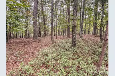 253 Nors Way, Lake Lure, NC 28746 - Photo 29