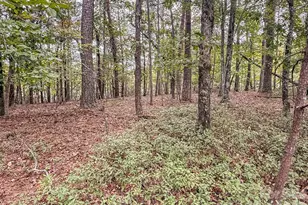 253 Nors Way, Lake Lure, NC 28746 - Photo 29