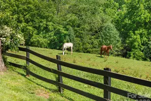 48 Silent Forest Dr, Canton, NC 28716 - Photo 15
