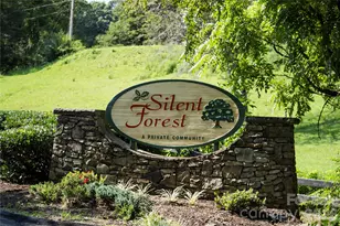 48 Silent Forest Dr, Canton, NC 28716 - Photo 19