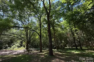 382 Alexis High Shoals Rd, Dallas, NC 28034 - Photo 11