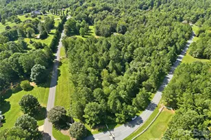 113 Gardner Point Dr, Stony Point, NC 28678 - Photo 1