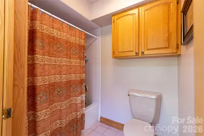832 Asheville Highway, Sylva, NC 28779 - Photo 29