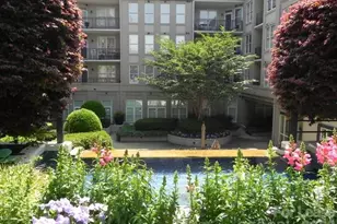 1315 East Blvd, Charlotte, NC 28203 - Photo 17