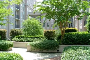 1315 East Blvd, Charlotte, NC 28203 - Photo 19