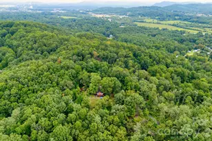 70 Dogwood Dr, Hendersonville, NC 28791 - Photo 47