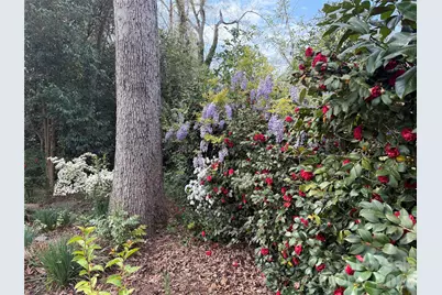 1631 Maple Avenue, Albemarle, NC 28001 - Photo 9