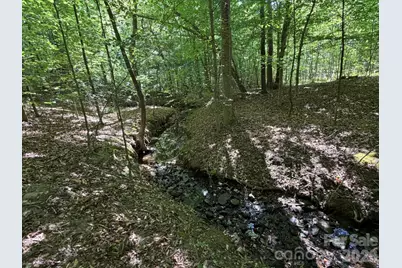 000 Alexis High Shoals Road, Dallas, NC 28034 - Photo 5