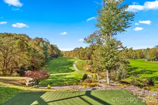 Tbd Connestee Trail, Brevard, NC 28712 - Photo 45