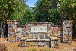 7197 Windy Ridge Dr, Iron Station, NC 28080 - Photo 45