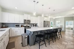 404 Babbling Brk Ln, Locust, NC 28097 - Photo 3