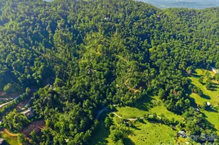 9999 Upper Herron Cove Rd, Weaverville, NC 28787 - Photo 1