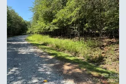 00 Elliott Drive #51, Rutherfordton, NC 28139 - Photo 3