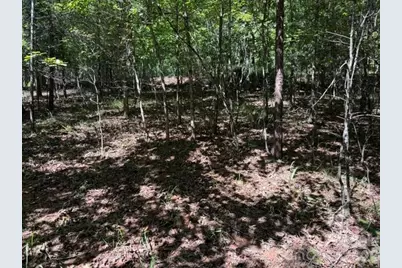 00 Elliott Drive #51, Rutherfordton, NC 28139 - Photo 7