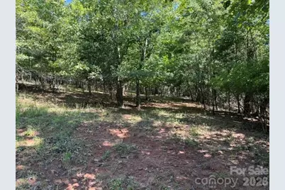 00 Elliott Drive #51, Rutherfordton, NC 28139 - Photo 5