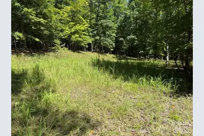 00 Elliott Drive #51, Rutherfordton, NC 28139 - Photo 9