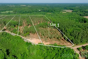 0 Carson Rd, Cleveland, NC 27013 - Photo 1