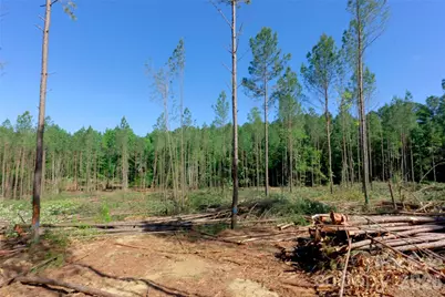0 Carson Road #2, Cleveland, NC 27013 - Photo 7