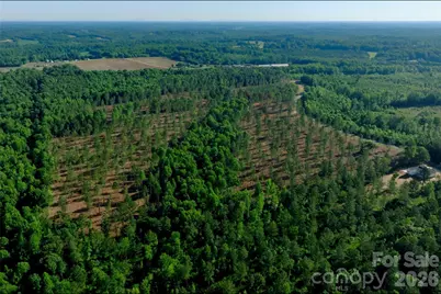0 Carson Road #2, Cleveland, NC 27013 - Photo 15