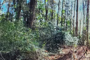 00 S Rollins Dr, Kershaw, SC 29067 - Photo 1