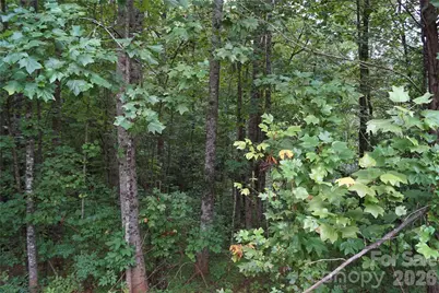 1139 McKay Road, Newton, NC 28658 - Photo 3