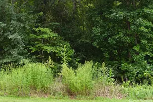 1139 McKay Rd, Newton, NC 28658 - Photo 1