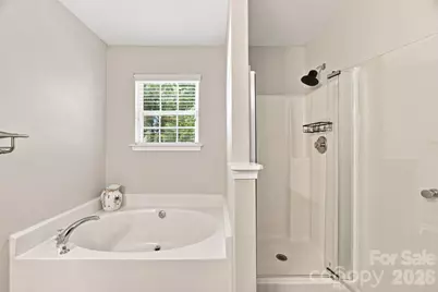 9709 Nannyberry Lane, Charlotte, NC 28273 - Photo 23