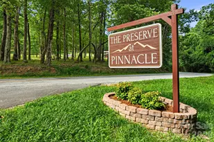 538 Pinnacle Mountain Preserve Rd, Zirconia, NC 28790 - Photo 39