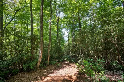 1250 Arborcrest Way #43, Fairview, NC 28778 - Photo 7
