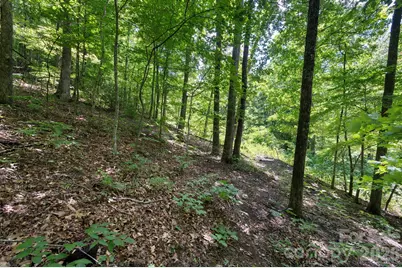 1250 Arborcrest Way #43, Fairview, NC 28778 - Photo 11