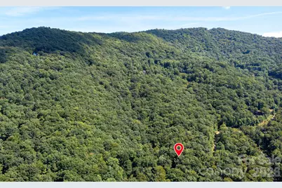 1250 Arborcrest Way #43, Fairview, NC 28778 - Photo 1