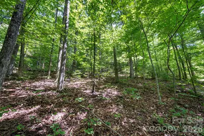 1250 Arborcrest Way #43, Fairview, NC 28778 - Photo 9