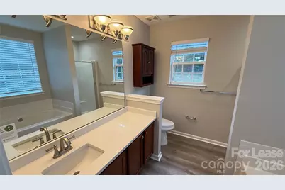 12125 Winghurst Drive, Pineville, NC 28134 - Photo 7