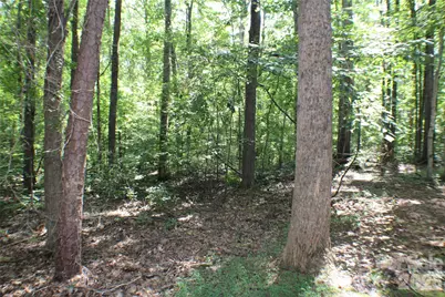 6804 Glover Lane, Lowesville, NC 28164 - Photo 13