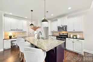 103 Webbed Foot Rd, Mooresville, NC 28117 - Photo 7