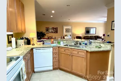 65 Glenview Lane #3029, Maggie Valley, NC 28751 - Photo 9