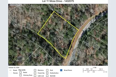 11 Moss Drive, Rutherfordton, NC 28139 - Photo 1
