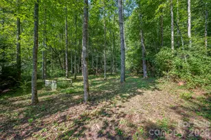 1008 Hardison Fls Trl, Hendersonville, NC 28792 - Photo 33