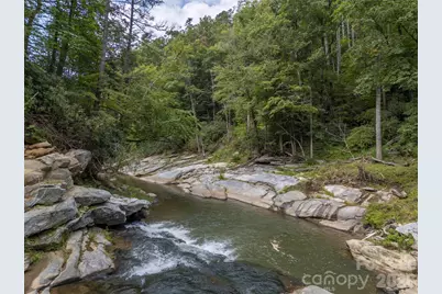 1008 Hardison Falls Trail, Hendersonville, NC 28792 - Photo 47