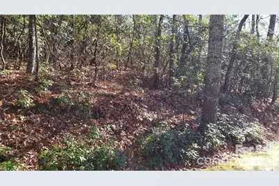 Tbd Galax Lane #G-11, Brevard, NC 28712 - Photo 7
