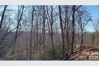 Tbd Galax Lane #G-11, Brevard, NC 28712 - Photo 17
