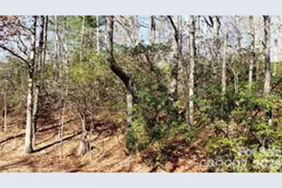 Tbd Galax Lane #G-11, Brevard, NC 28712 - Photo 3