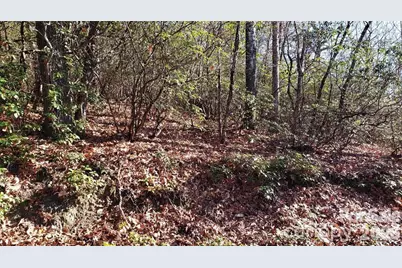 Tbd Galax Lane #G-11, Brevard, NC 28712 - Photo 9