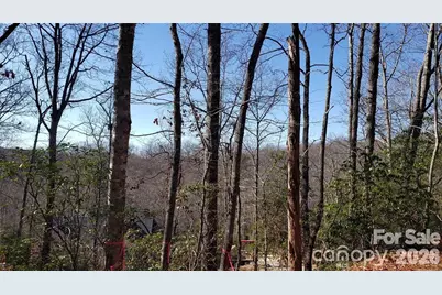 Tbd Galax Lane #G-11, Brevard, NC 28712 - Photo 19