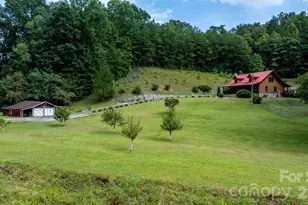 100 Goose Creek Rd, Marion, NC 28752 - Photo 45